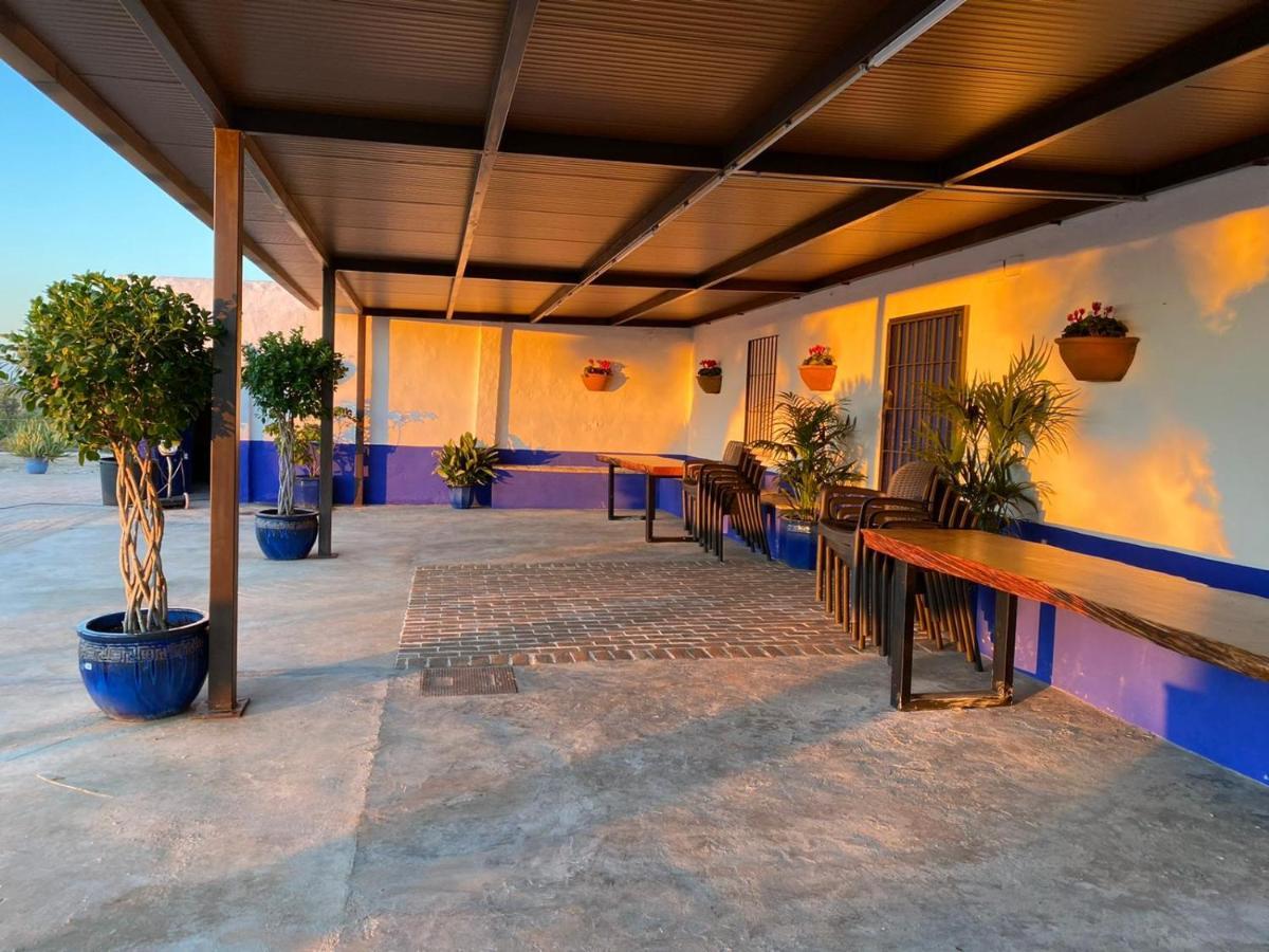La Casa Del Olivo Villa Écija Exterior foto